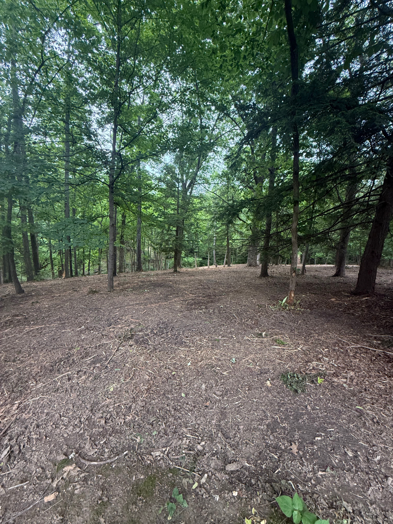 Cleared Ohio property after forestry mulching and land clearing
